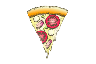 Color Vegetable Italian Slice Piece Pizza Vintage Vector