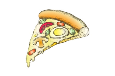 Color Vegetarian Italian Slice Pizza Vintage Vector