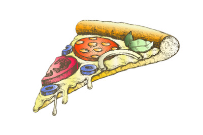 Color Delicious Italian Slice Pizza Hand Drawn Vector