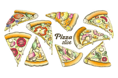 Color Assortment Different Slice Pizza Set Ink Vector