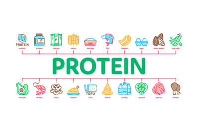 Protein Food Nutrition Minimal Infographic Banner Vector