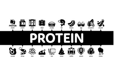 Protein Food Nutrition Minimal Infographic Banner Vector