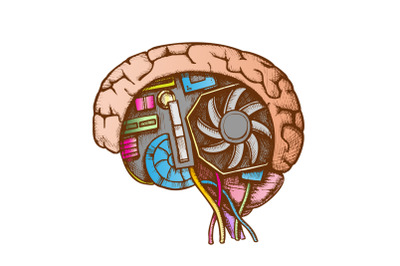 Ai Cyberntic Brain Side View Color Vector