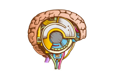 Technology Cyber Brain Side View Color Vector