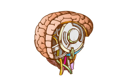 High Technology Robotic Brain Color Vector