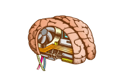 Innovation Computer Chip Brain Color Vector