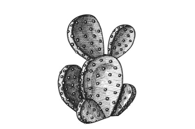 Opuntia Azurea Prickly Pear Cactus Ink Vector