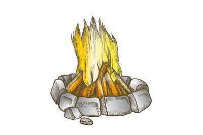 Traditional Burning Campfire Color Vector