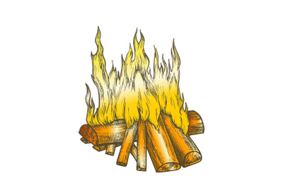 Traditional Burning Firewood Color Vector