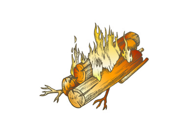 Traditional Burning Wooden Timber Vintage Color Vector