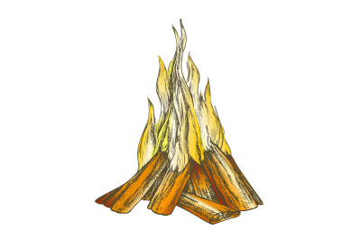 Traditional Burning Bonfire Color Vector