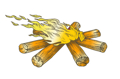 Torch Flame Blowing In Wind Color Vector