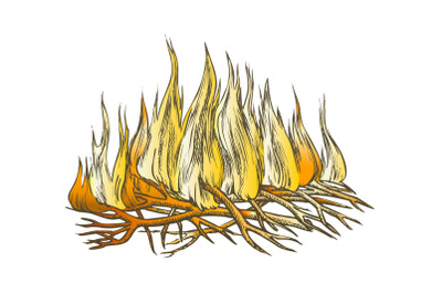 Traditional Burning Camping Fire Color Vector