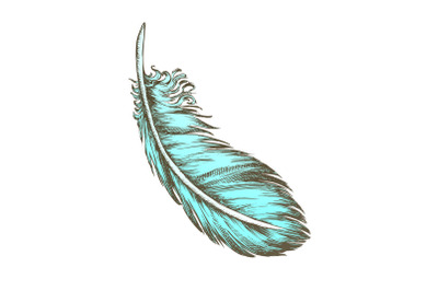 Color Lost Bird Outer Element Feather Monochrome Vector