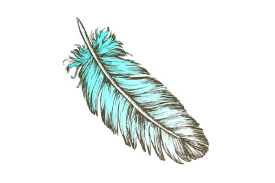 Color Lost Bird Outer Element Feather Sketch Vector