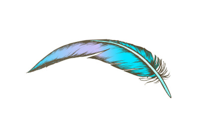 Color Lost Bird Outer Element Feather Vintage Vector