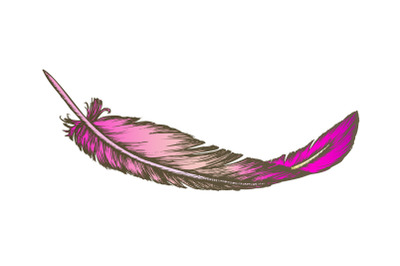 Color Lost Bird Outer Element Feather Hand Drawn Vector