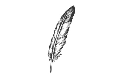 Decorative Bird Flying Element Feather Vector