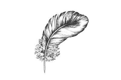 Decorative Bird Flying Element Feather Ink Vector