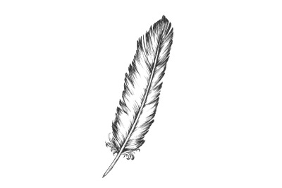 Decorative Bird Element Feather Monochrome Vector