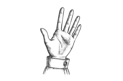 Female Hand Make Gesture Five Fingers Up Vector