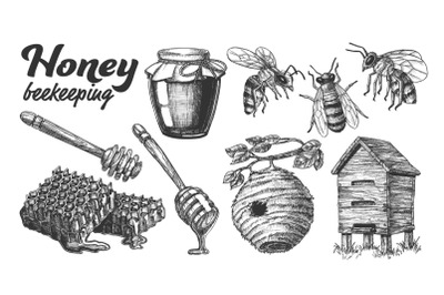 Collection Honey Beekeeping Apiary Set Vector