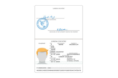 International Passport Vector. Opened Passport Page Blank Template. Identification Document.