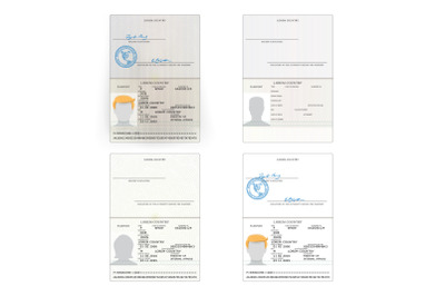 International Passport Set Vector.