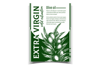 Natural Fresh Olive Tree Branch Banner Vector