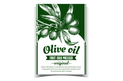 Olive Extra Virgin Organic Product Label Vector