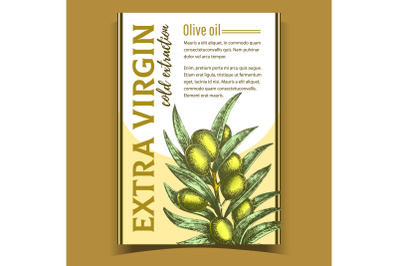 Natural Fresh Olive Tree Branch Banner Vector