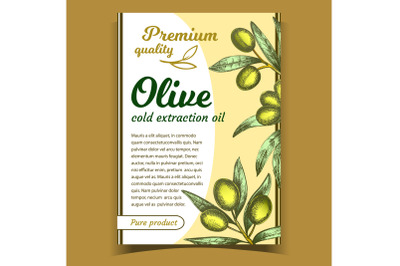 Olive Oil Premium Quality Product Poster Vector