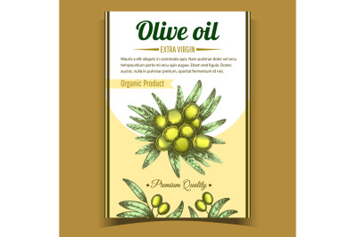 Olive Extra Virgin Organic Product Poster Vector