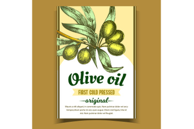 Olive Extra Virgin Organic Product Label Vector