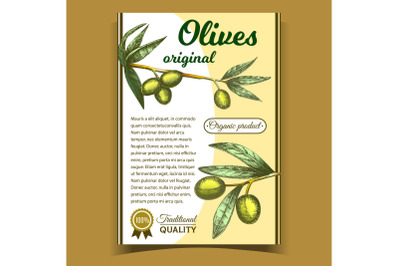 Olives Original Organic Product Poster Vector