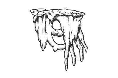 Ice Stalactite In Beautiful Form Monochrome Vector