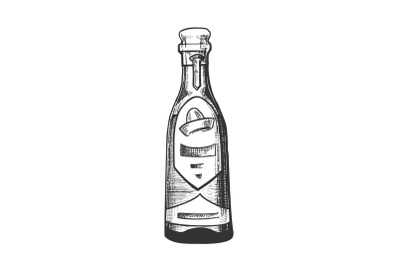 Traditional Mexican Tequila Drink Bottle Vector