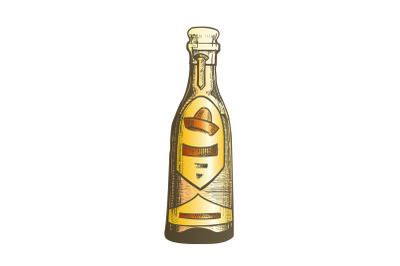 Color Traditional Mexican Tequila Drink Bottle Vector