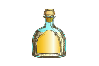 Color Blown Classic Mexican Tequila Glass Bottle Vector