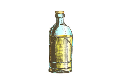 Color Closed Standard Drink Tequila Glass Bottle Vector