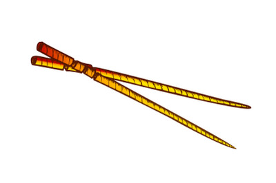 Wooden Chopsticks Eating Tool Color Vector
