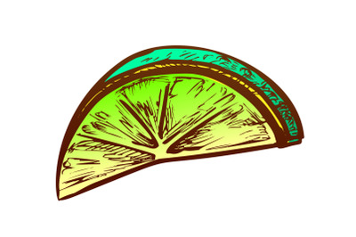 Lime Exotic Citrus Cut Slice Color Vector