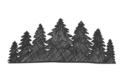 Drawn Landscape Pinery Coniferous Forest Vector