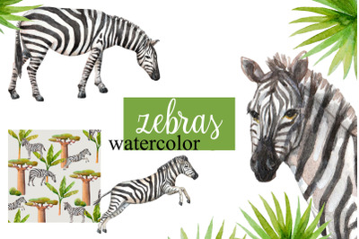 Watercolor zebras and plants.
