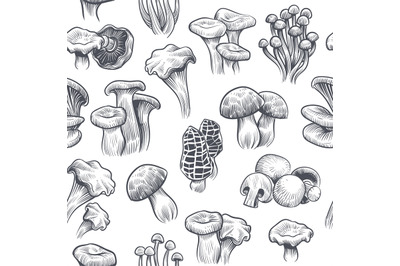 Mushroom seamless pattern. Sketch various mushrooms truffle and champi