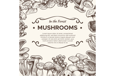 Mushrooms. Hand drawn mushroom champignon, truffle, porcini and chante