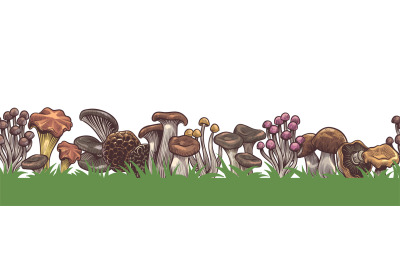 Mushrooms border. Seamless colorful sketch various mushroom in forest