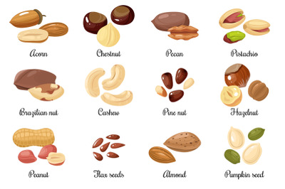 Nuts and seeds. Almond and pistachio, acorn and peanut, chestnut, and