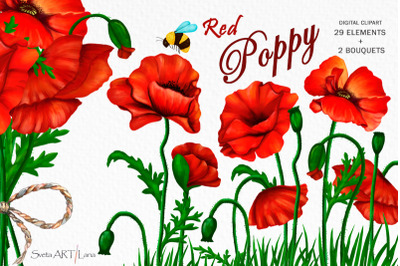 Poppy clipart red flower and bee, bouquet of poppy