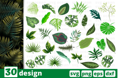 30 TROPICAL LEAVES svg bundle, animals cricut svg